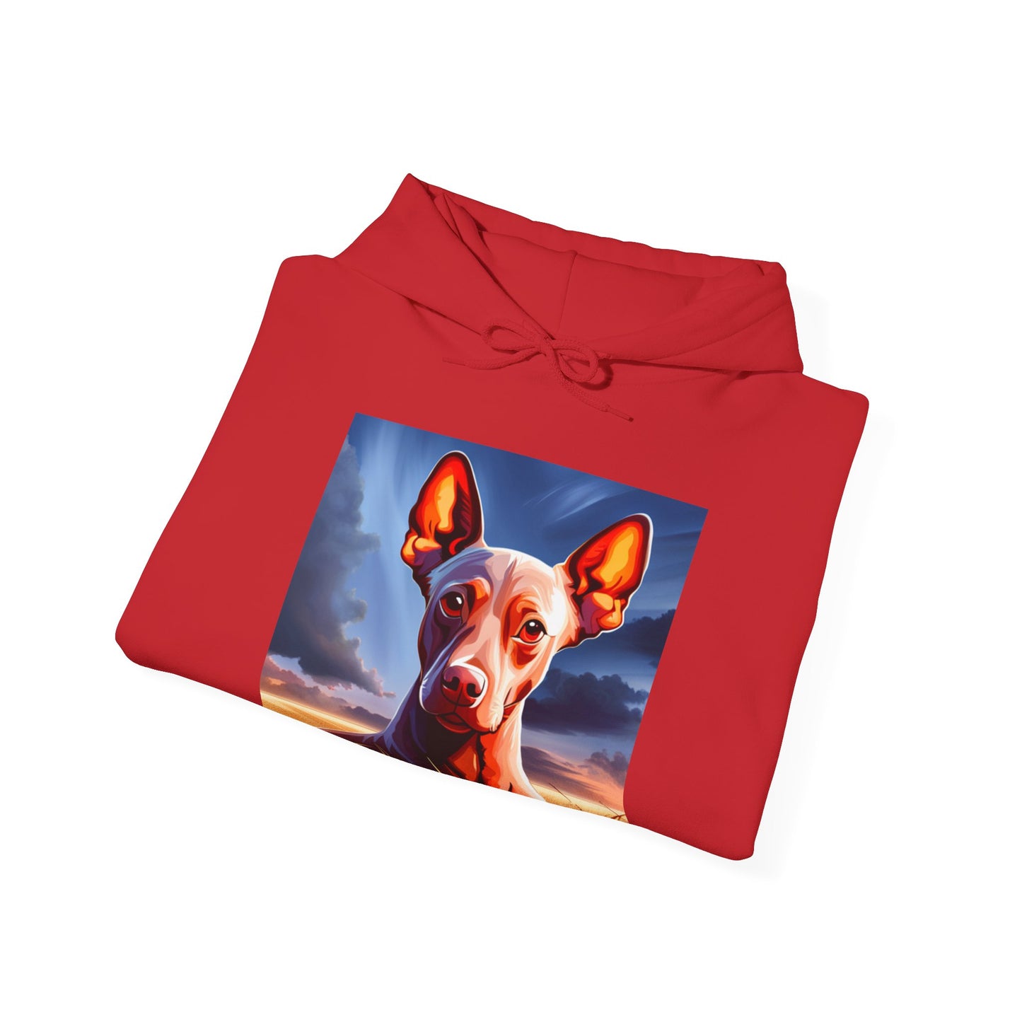 Sudadera Xoloescuincle