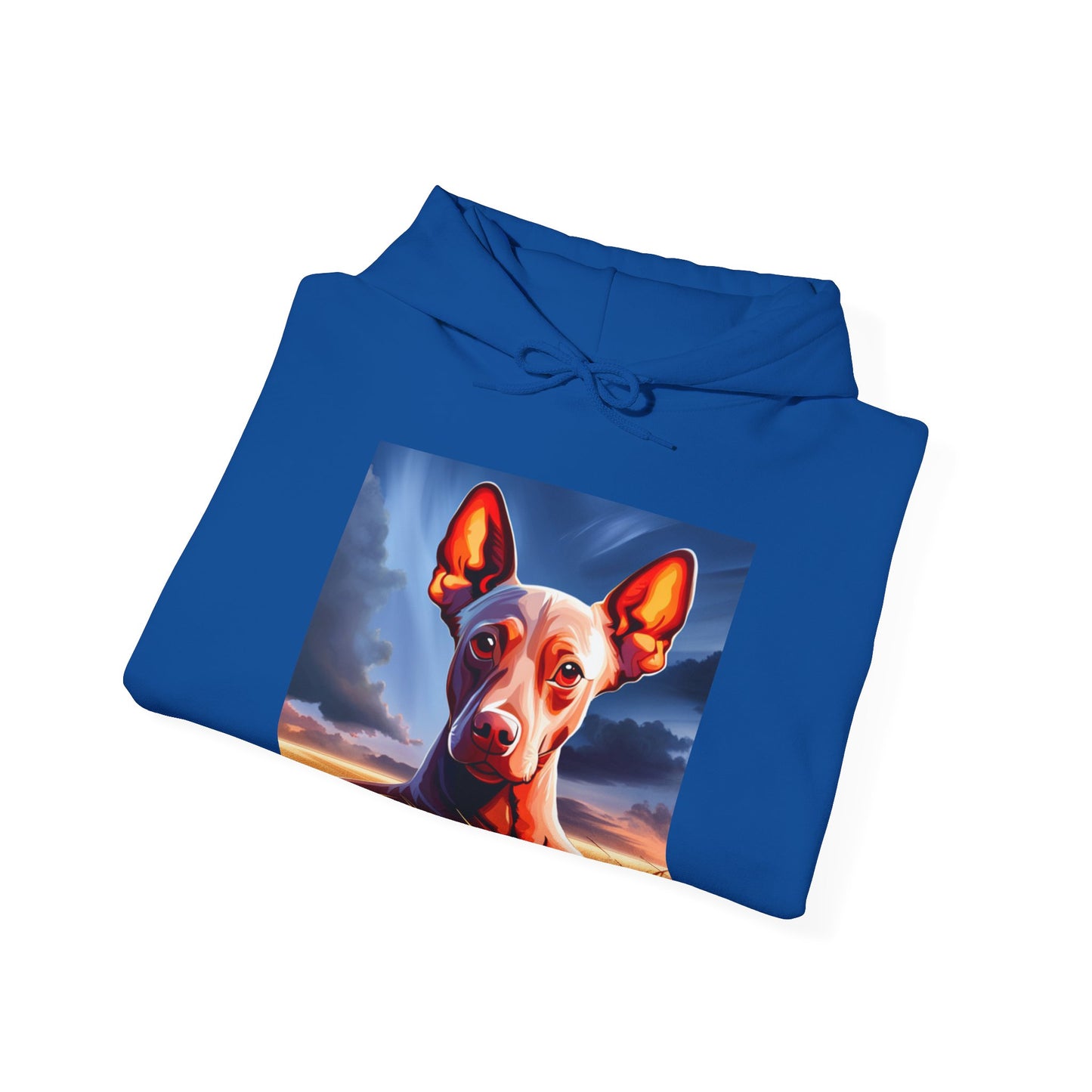 Sudadera Xoloescuincle