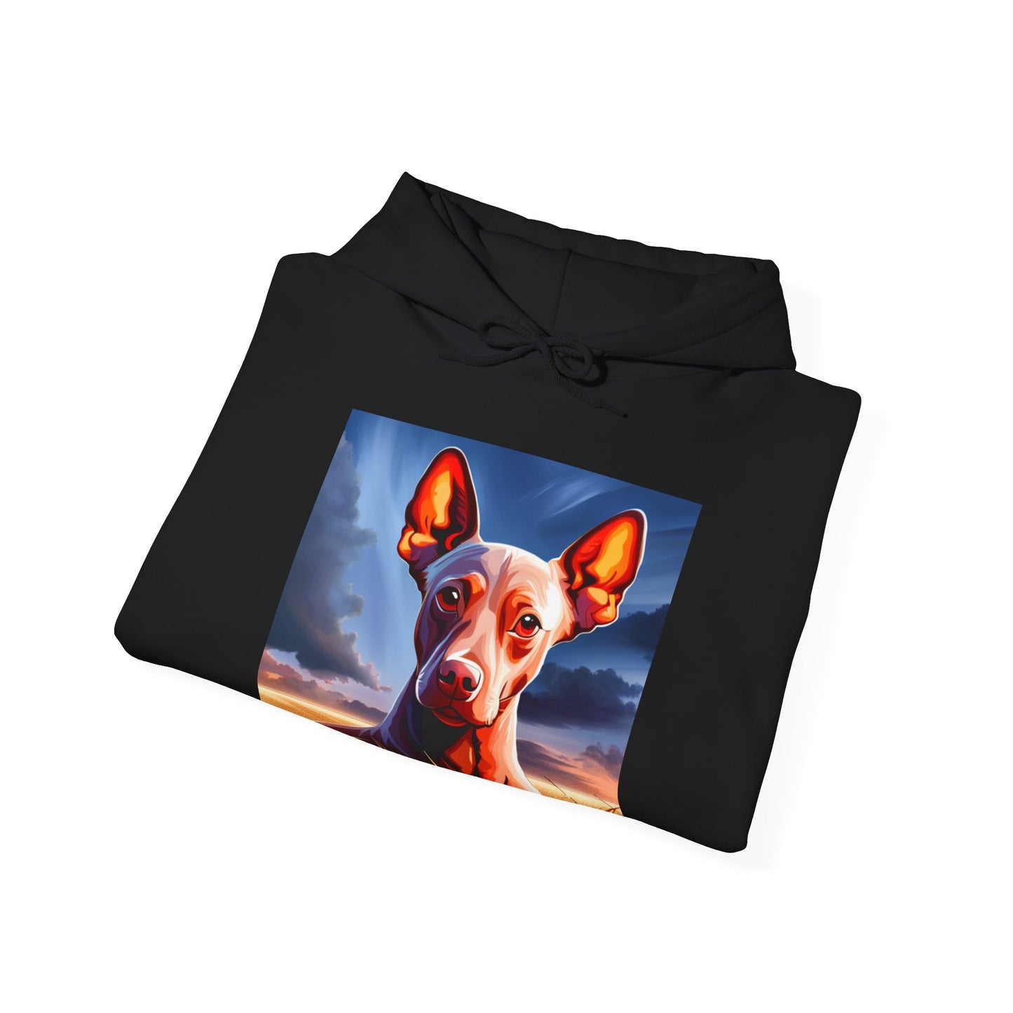 Sudadera Xoloescuincle