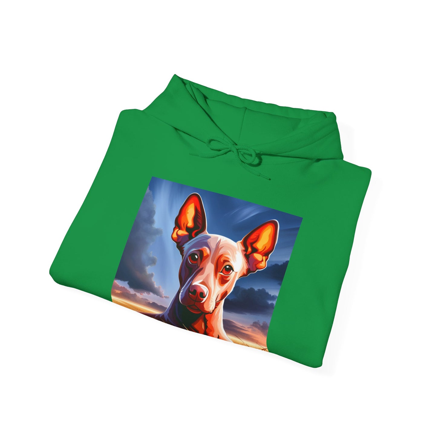 Sudadera Xoloescuincle