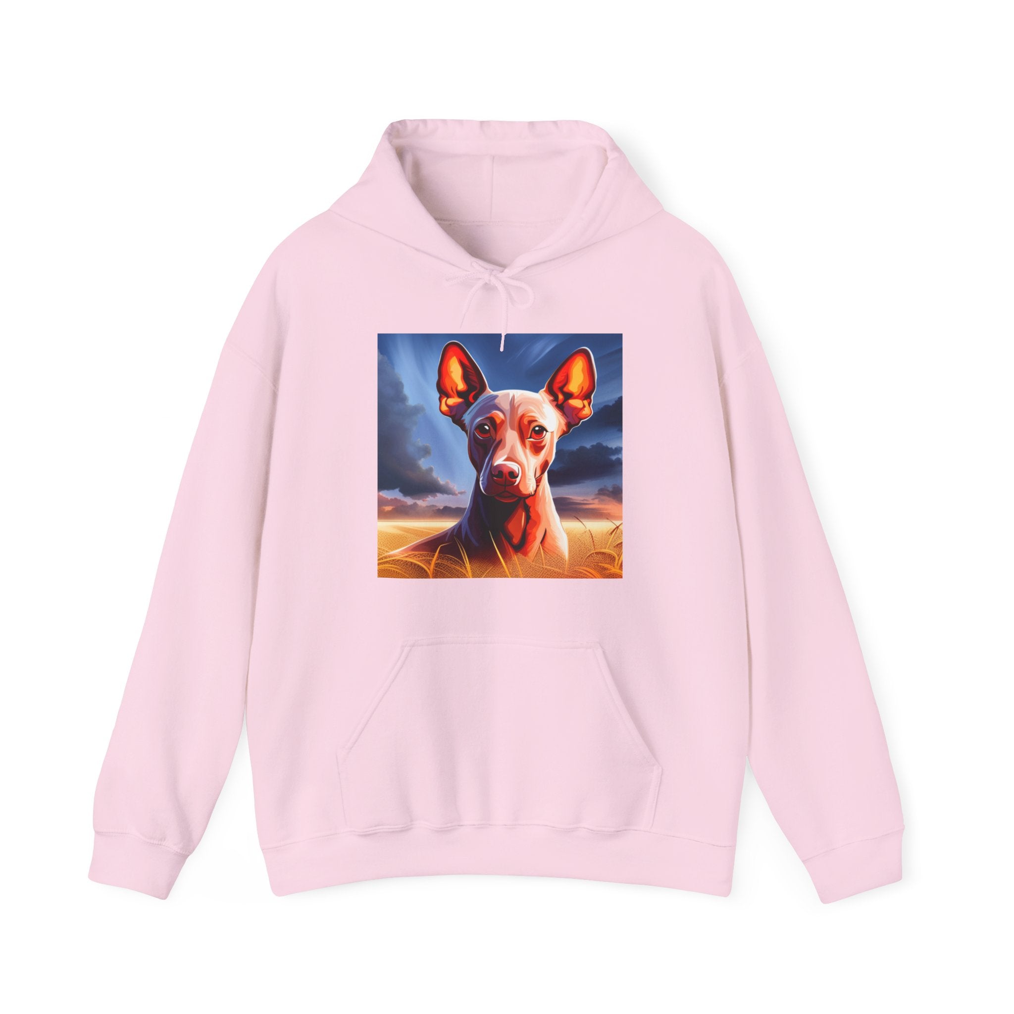 Sudadera Xoloescuincle