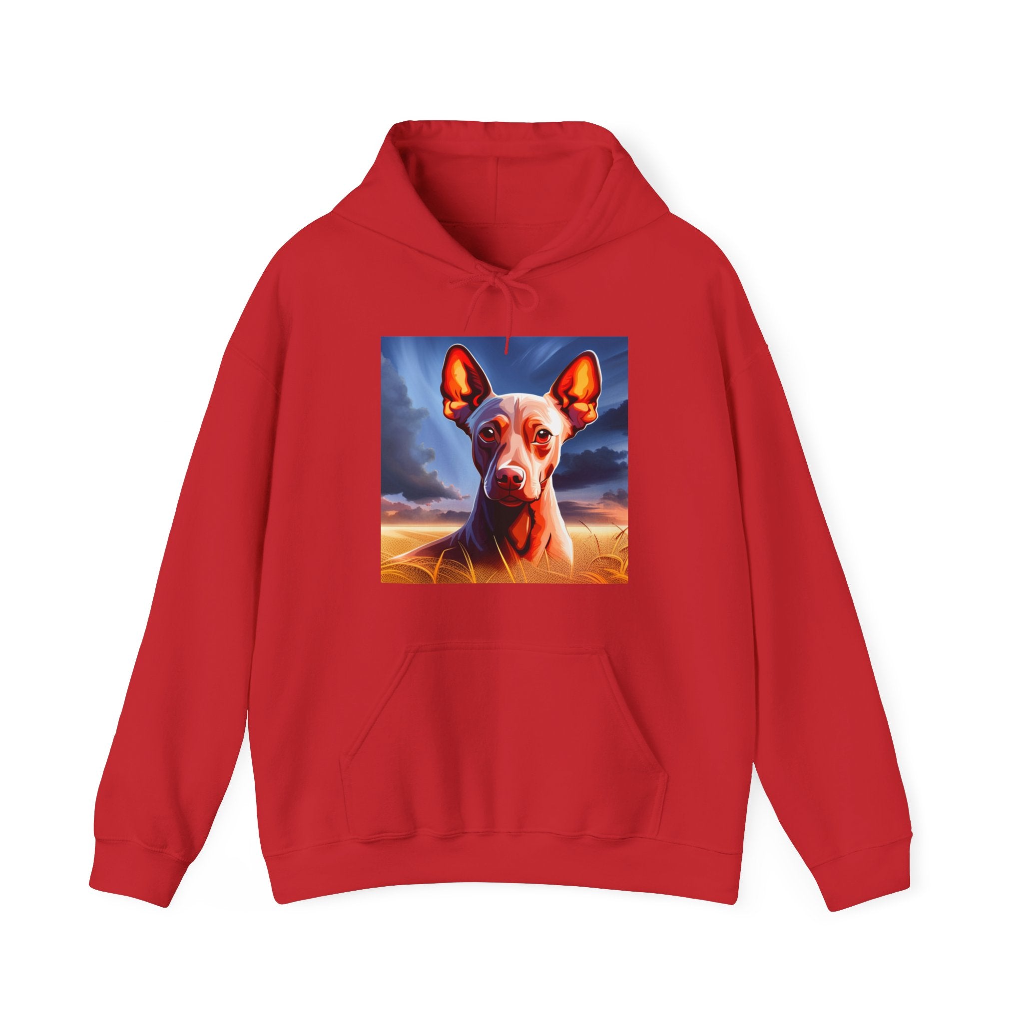 Sudadera Xoloescuincle