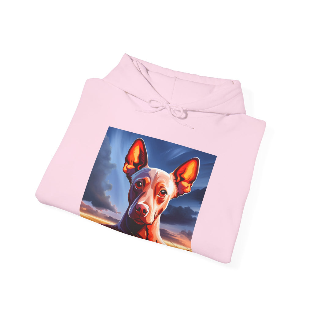 Sudadera Xoloescuincle