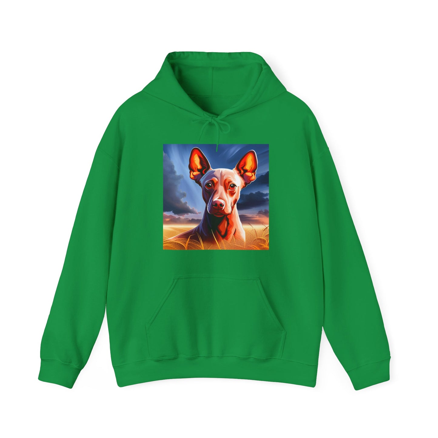 Sudadera Xoloescuincle