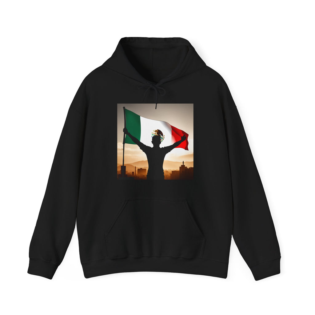 Sudadera Bandera