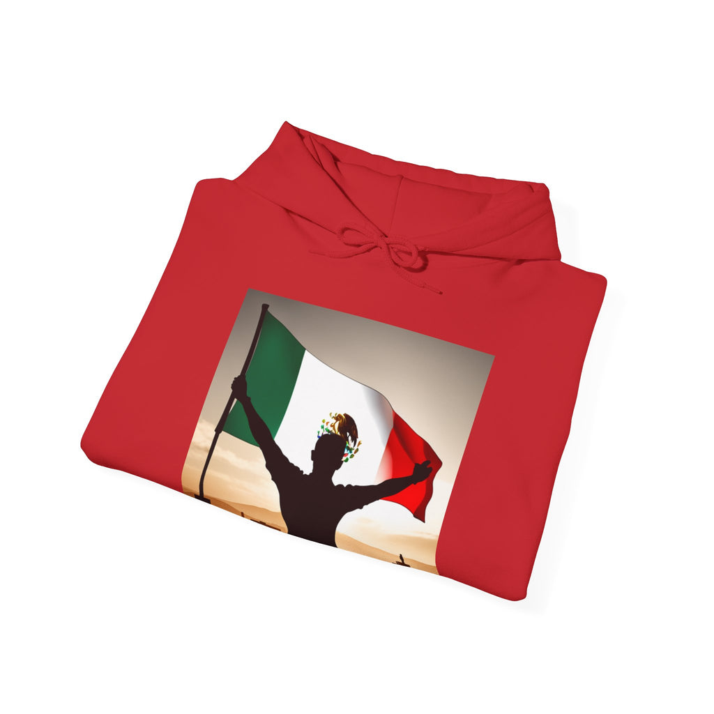 Sudadera Bandera
